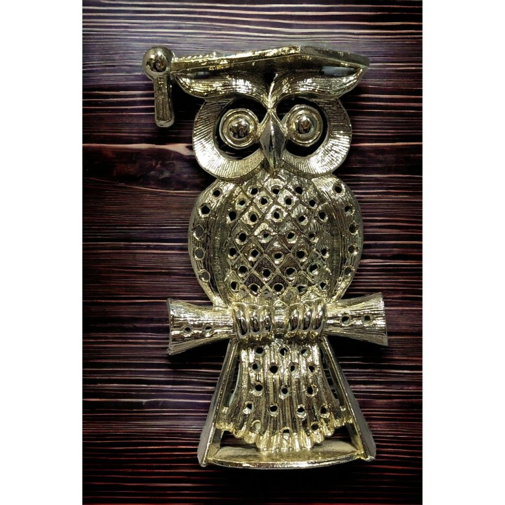 Gold Owl Jewelry Holder - Elegant Wall-Mount Organizer